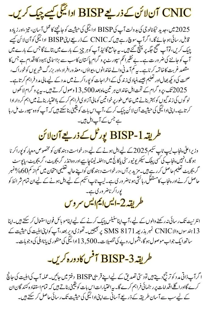 How to Check BISP Payment by CNIC Online A Complete Guide for 2025